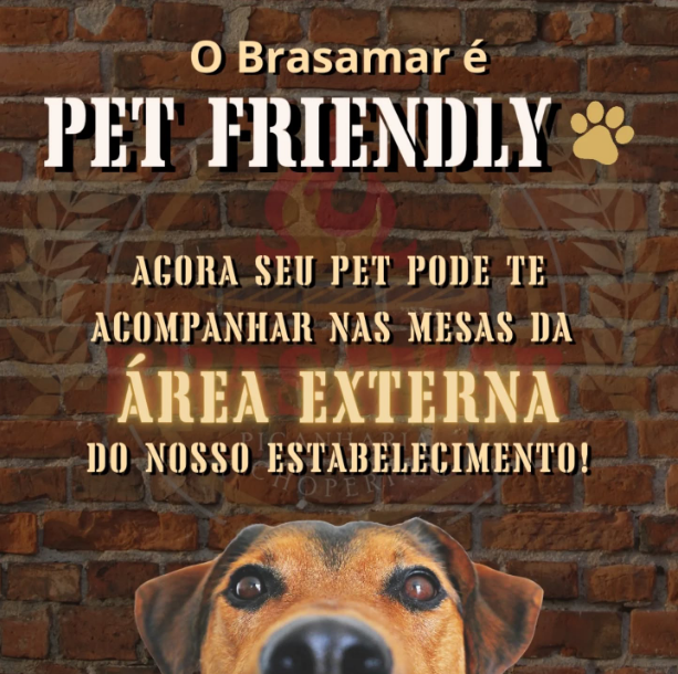 Somos PET FRIENDLY!🐾